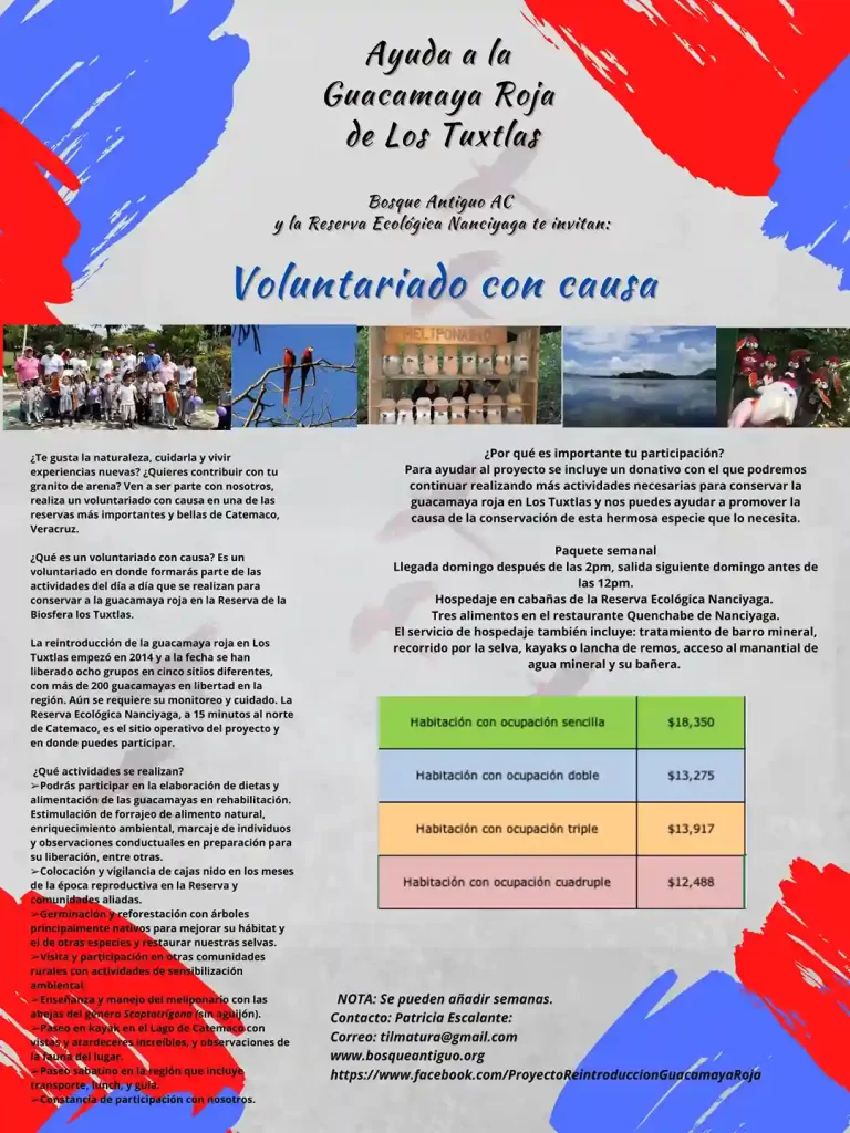 Voluntariado con causa